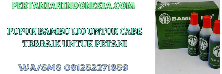 pupuk,bambu ijo,pupuk bambu ijo,petani,pertanian indonesia